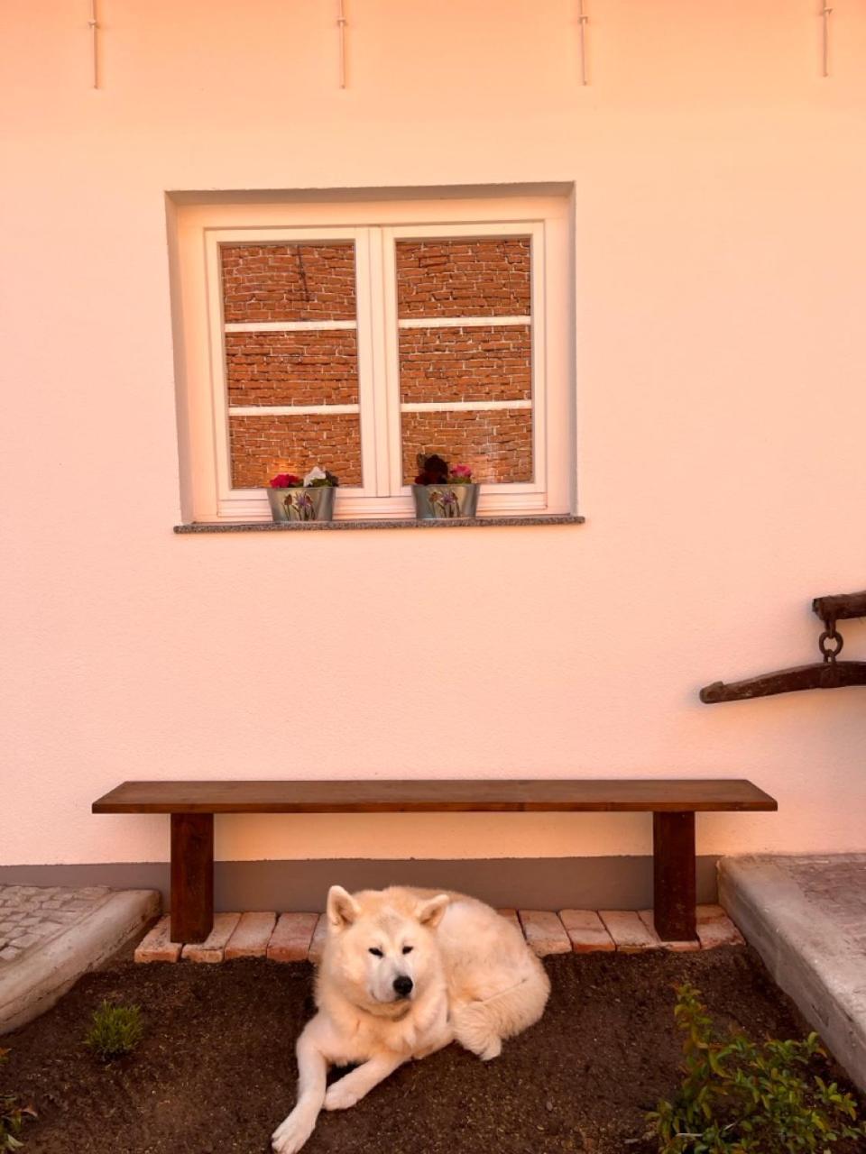 Stadthaus Usedom Usedom Town エクステリア 写真